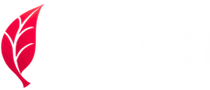 LangAdvance